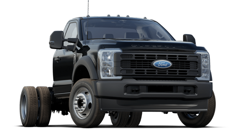 2024 Ford Super Duty F-450 DRW Vehicle Photo in Terrell, TX 75160